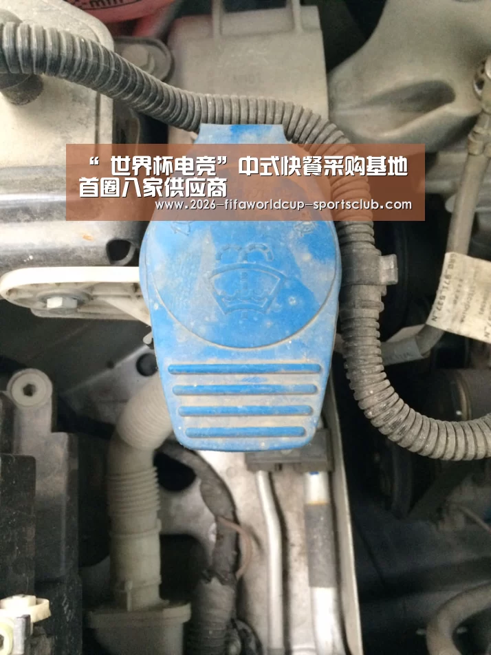  世界杯足球