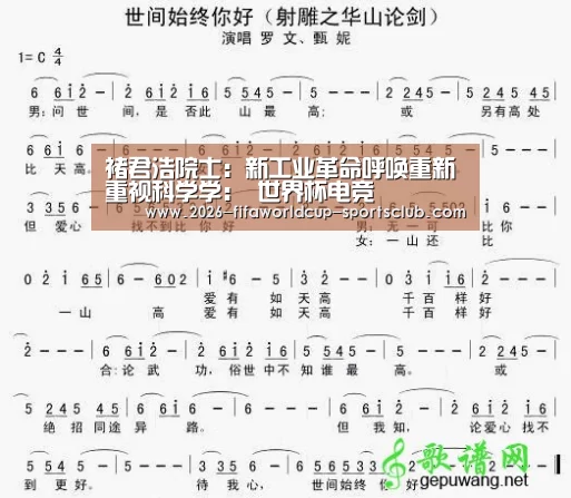  世界杯足球