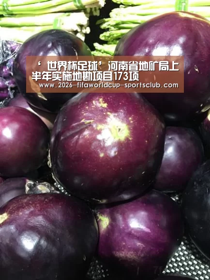  世界杯足球