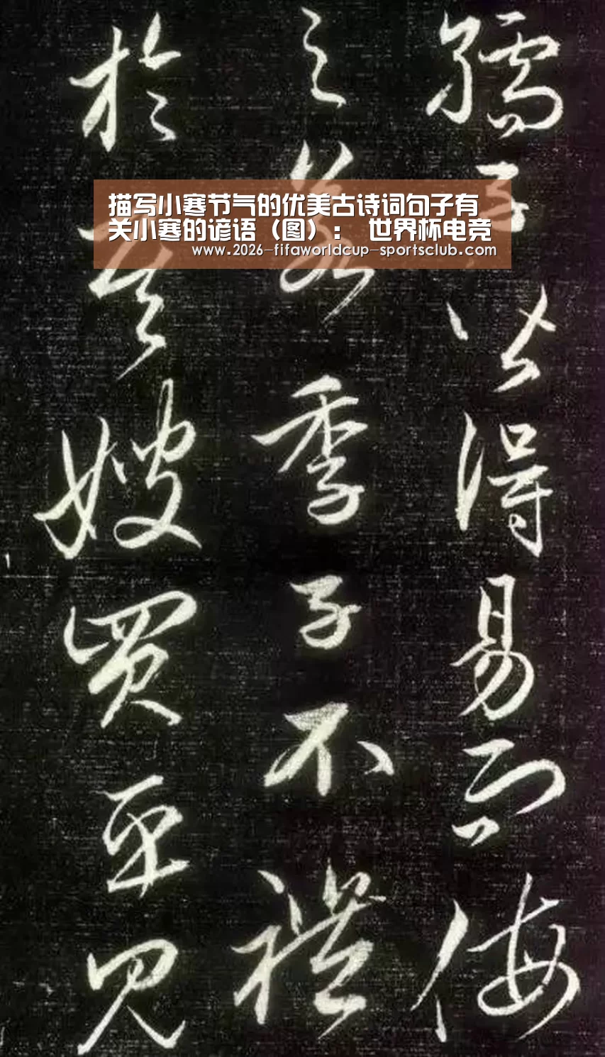 描写小寒节气的优美古诗词句子有关小寒的谚语(图): 世界杯电竞(图1) 世界杯电竞