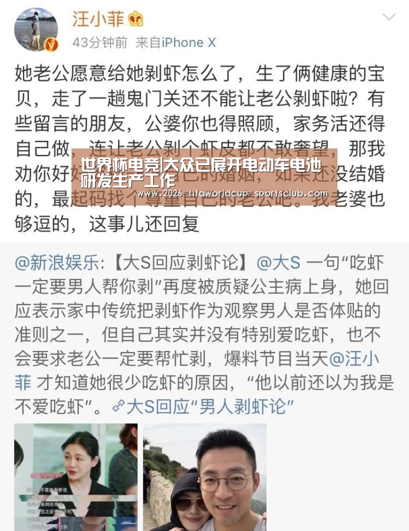 世界杯电竞|大众已展开电动车电池研发生产工作(图1) 世界杯电竞