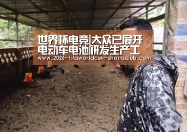 世界杯电竞|大众已展开电动车电池研发生产工作(图2) 世界杯足球