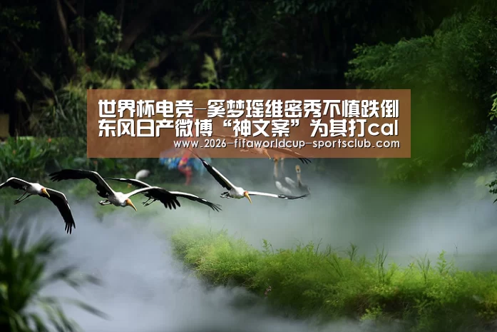世界杯电竞-奚梦瑶维密秀不慎跌倒东风日产微博“神文案”为其打call(图2) 世界杯电竞