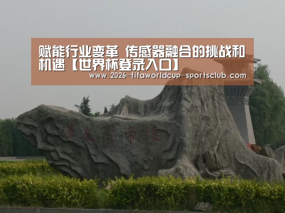 世界杯登录入口