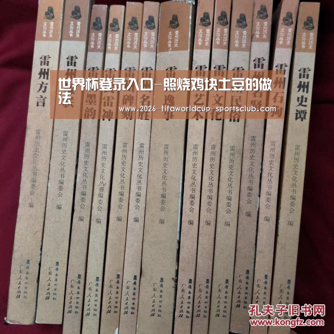  世界杯直播平台