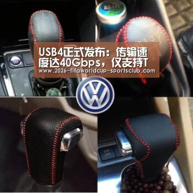 USB4正式发布:传输速度达40Gbps,仅支持Type-C| 世界杯足球(图1) 世界杯登录入口