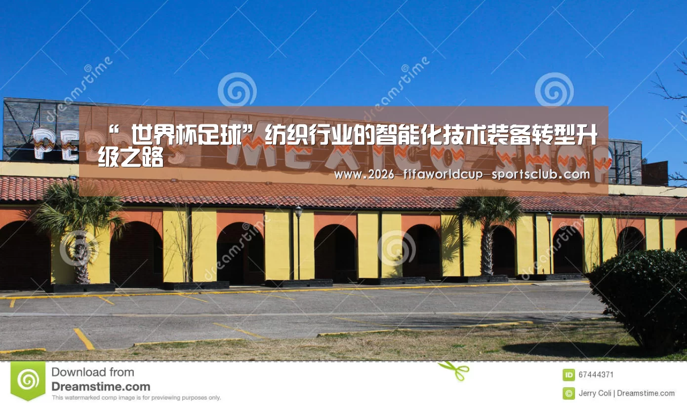 “ 世界杯足球”纺织行业的智能化技术装备转型升级之路(图3) 世界杯直播平台