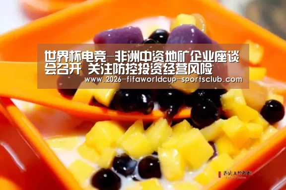 世界杯电竞-非洲中资地矿企业座谈会召开 关注防控投资经营风险(图1) 世界杯电竞
